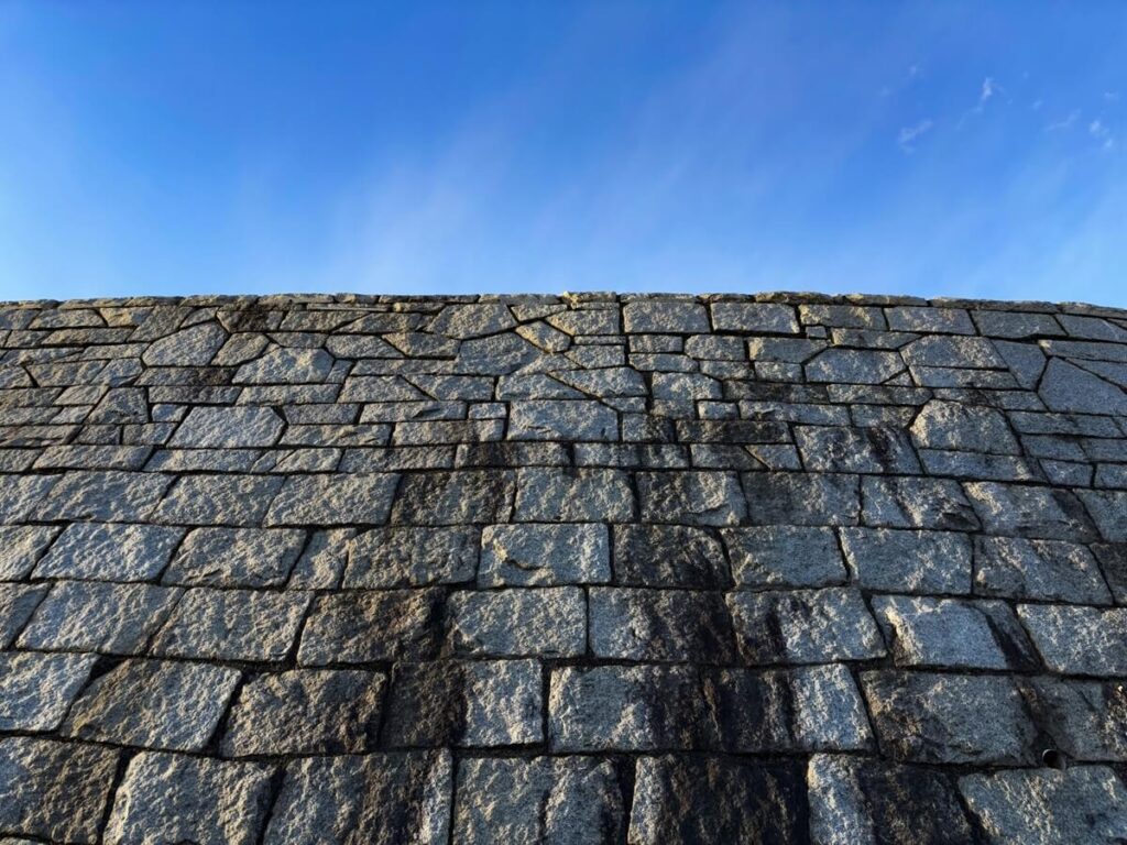 半導体チップやサーバー機器をイメージした写真(価格高騰の背景)